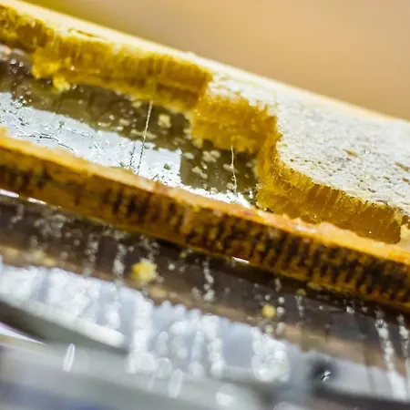 Udalla Park - & מלון דירות פלאייה דה לאס אמריקס